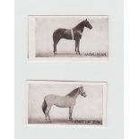 Cigarette cards, Richard Lloyd & Sons, Types of Horses, (set, 25 cards) (ends gd, rest gen vg)