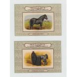 Trade cards, Holloway's, Natural History Series (full length), 'X' size (set, 60 cards) (vg)