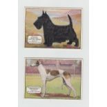 Cigarette cards, Westminster Tobacco Co, (O/S issue) Champion Dogs, 'X' size, (set, 25 cards) (gen