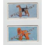 Trade cards, The British Automatic Co, Dogs, two sets, 1st & 2nd Series (both with 'Weigh Daily) (32