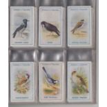 Cigarette cards, Gallaher, British Birds by George Rankin (set, 100 cards, plus 1 duplicate) (5