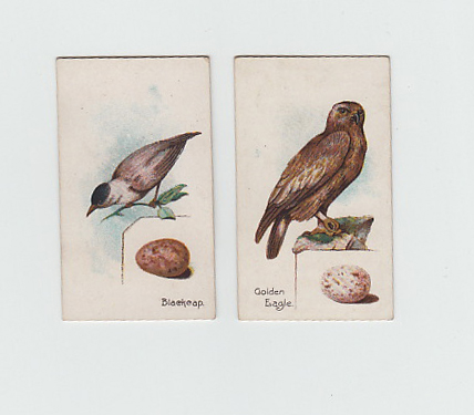 Cigarette cards, Harvey & Davy's, Birds & Eggs (27/50 plus 1 duplicate) (gd)