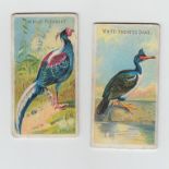 Cigarette cards, USA, Allen & Ginter, a collection of 49 cards from various series inc. World's