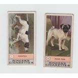 Cigarette cards, Edwards, Ringer & Bigg, Dog Series (Klondyke backs) (set, 23 cards) (gen gd)