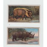 Cigarette cards, Hill's, Animal Series (all Crowfoot backs) 10 cards nos 1, 2, 3, 7, 8, 10, 11,