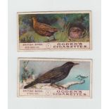 Cigarette cards, Ogden's, 3 sets, British Birds, 1st & 2nd Series & Foreign Birds (gd)