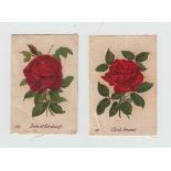 Tobacco silks, South Africa, United Tobacco, British Roses, 'L' size (28/30, missing nos 107 114) (