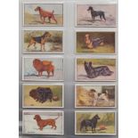 Cigarette cards, Scottish CWS, Dogs (set, 20 cards) (nos 1 & 20 fair, rest gd/vg)