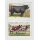 Cigarette cards, Player's, British Pedigree Stock, 'XL' size (set, 20 cards) (vg)