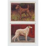 Cigarette cards, Will's, Dogs, 'A' Series, 'L' size (set, 25 cards) (gd/vg)