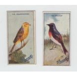 Trade cards, Pascall's, British Birds (14/24) (gen gd)