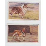 Trade cards, Scottish CWS, Dogs (set, 20 cards) (gd/vg)