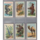 Cigarette cards, Will's (Overseas), Animals & Birds (With Series Title) (set, 50 cards) (6 fair,