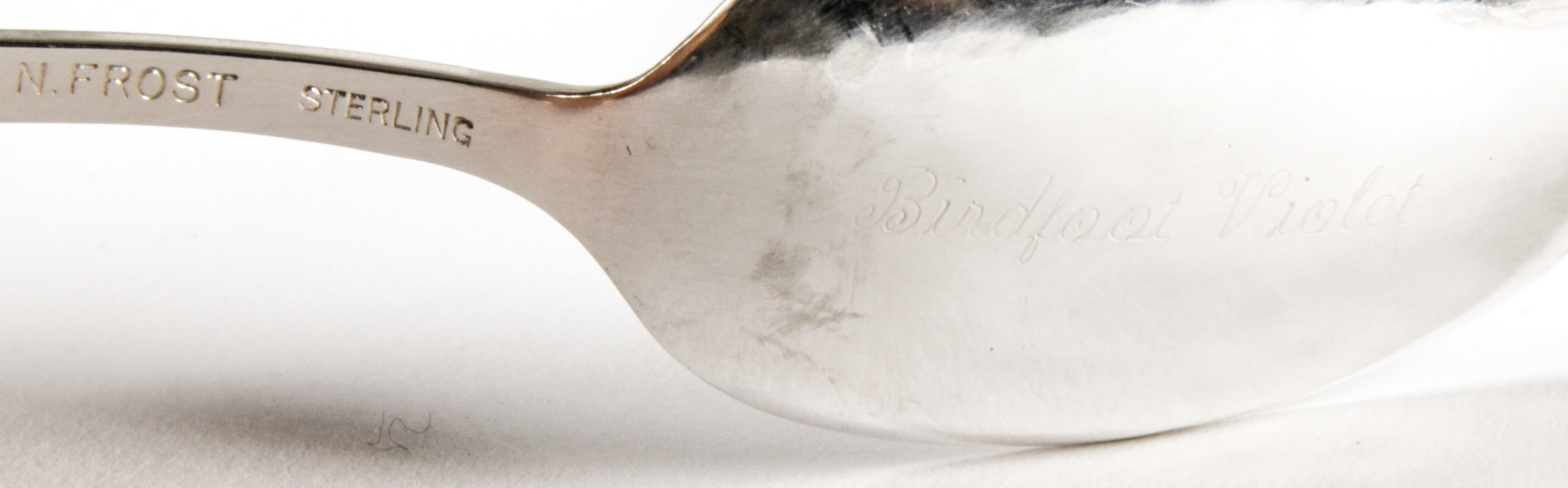 Sterling Silver Botanical Theme Ice Cream Spoons. Marked Sterling N Frost. Each spoon engraved - Image 4 of 4