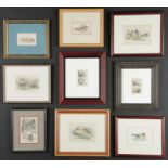 Group of 9 Framed Engravings: including Antique Engraving, several hand-colored examples, Fish,