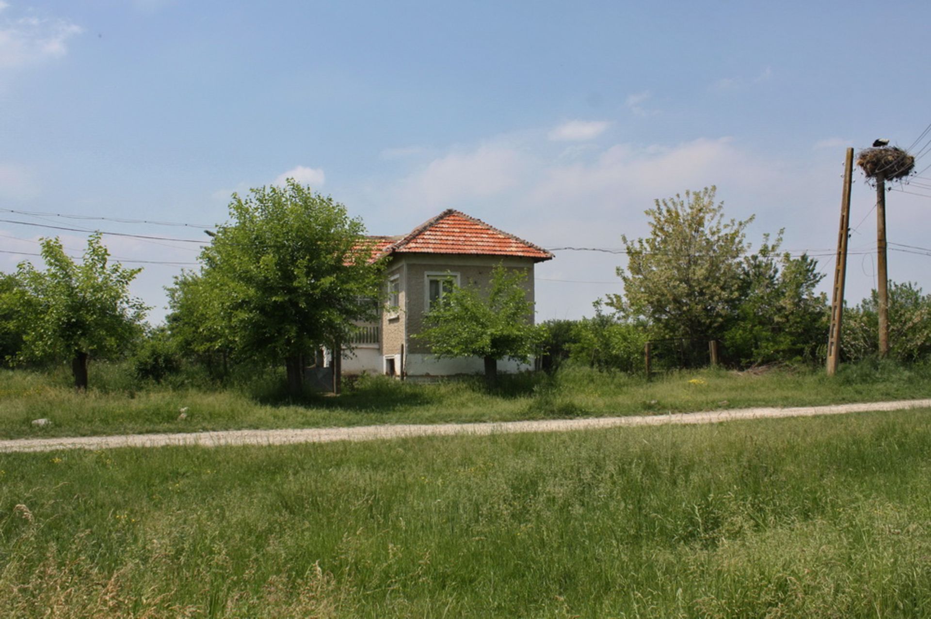 HOUSE AND 2,000 SQM OF LAND LOCATED IN BOROVAN  (NEXT DOOR TO LOT 2) - Image 2 of 20