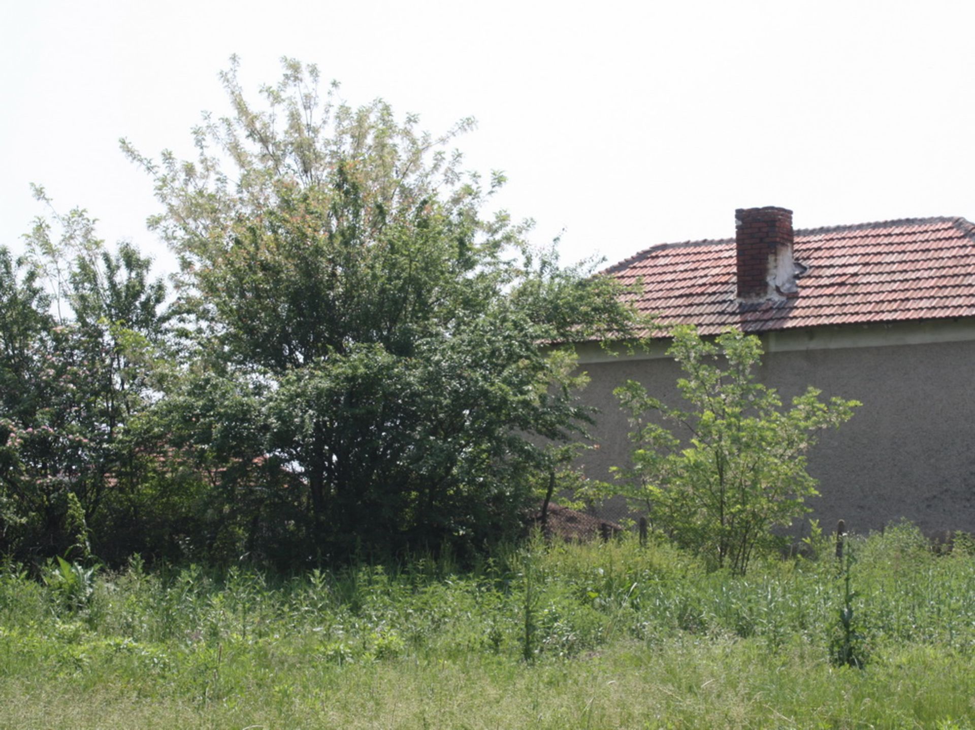 HOUSE AND 2,000 SQM OF LAND LOCATED IN BOROVAN  (NEXT DOOR TO LOT 2) - Image 17 of 20