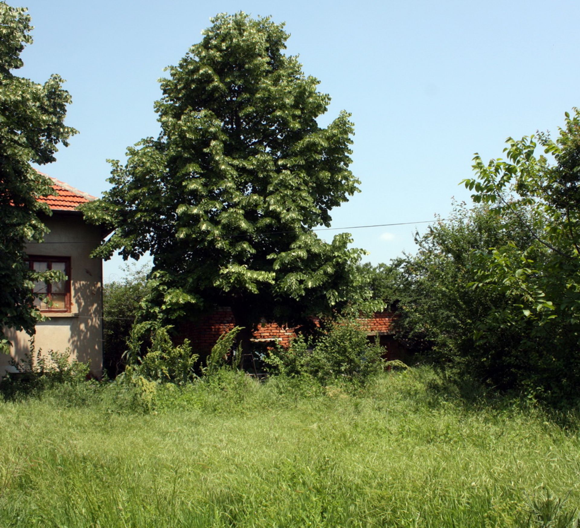 HOUSE, TWO OUTBUILDINGS AND 2,400 SQM OF LAND LOCATED IN BOROVAN
(NEXT DOOR TO LOT 3) - Image 3 of 29