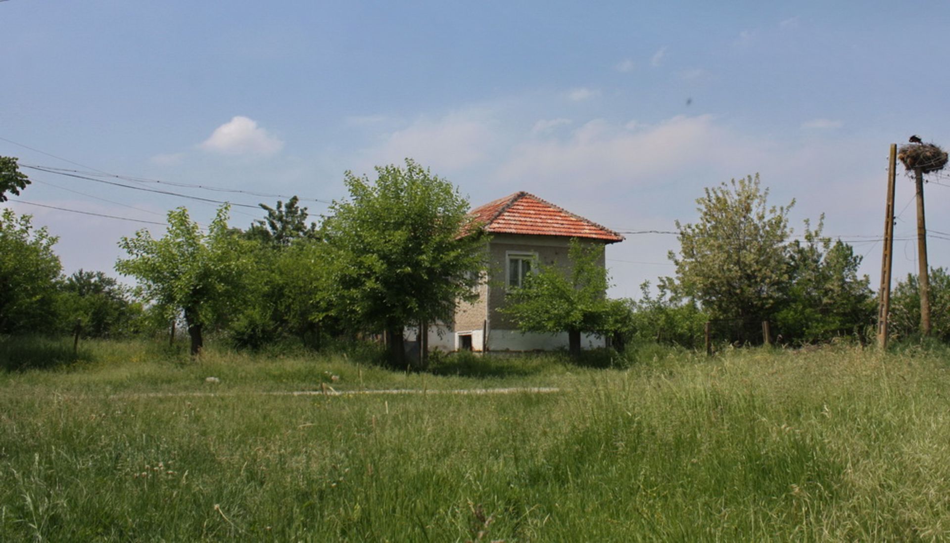 HOUSE AND 2,000 SQM OF LAND LOCATED IN BOROVAN  (NEXT DOOR TO LOT 2) - Image 15 of 20