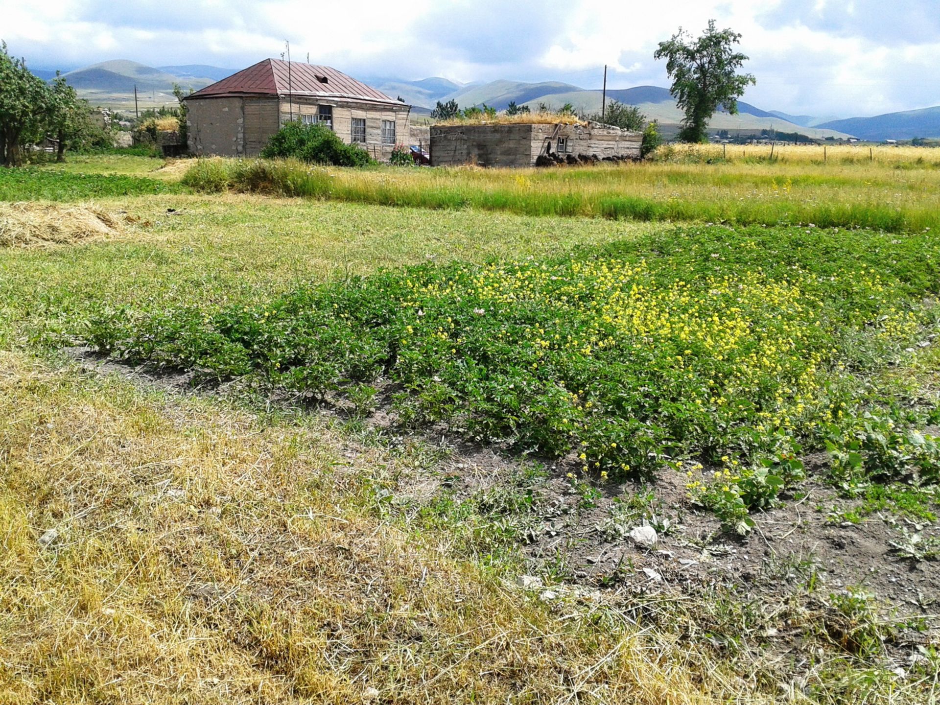 HOUSE IN 1 ACRE IN SOTK, ARMENIA - Image 16 of 35