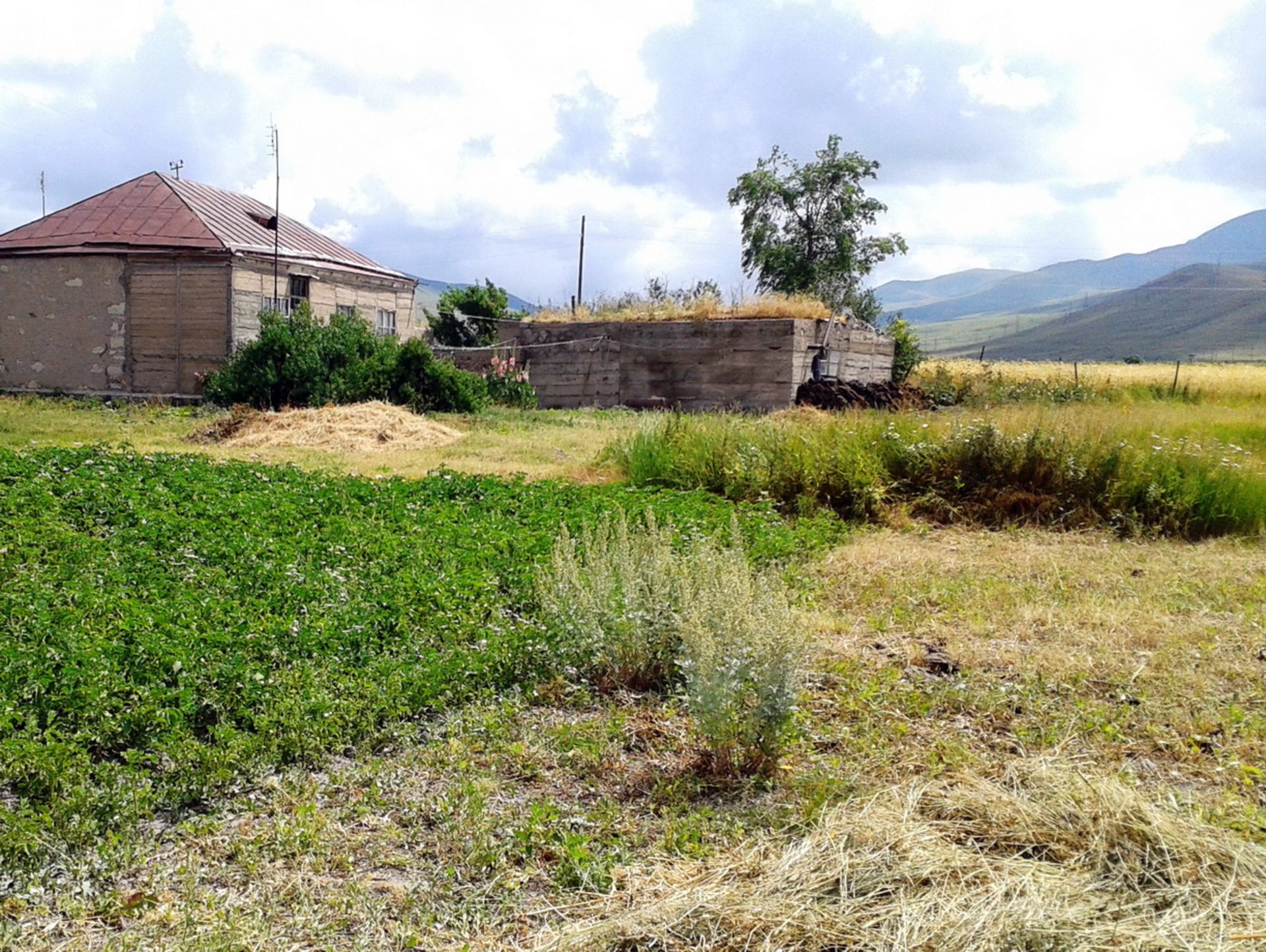 HOUSE IN 1 ACRE IN SOTK, ARMENIA - Image 19 of 35