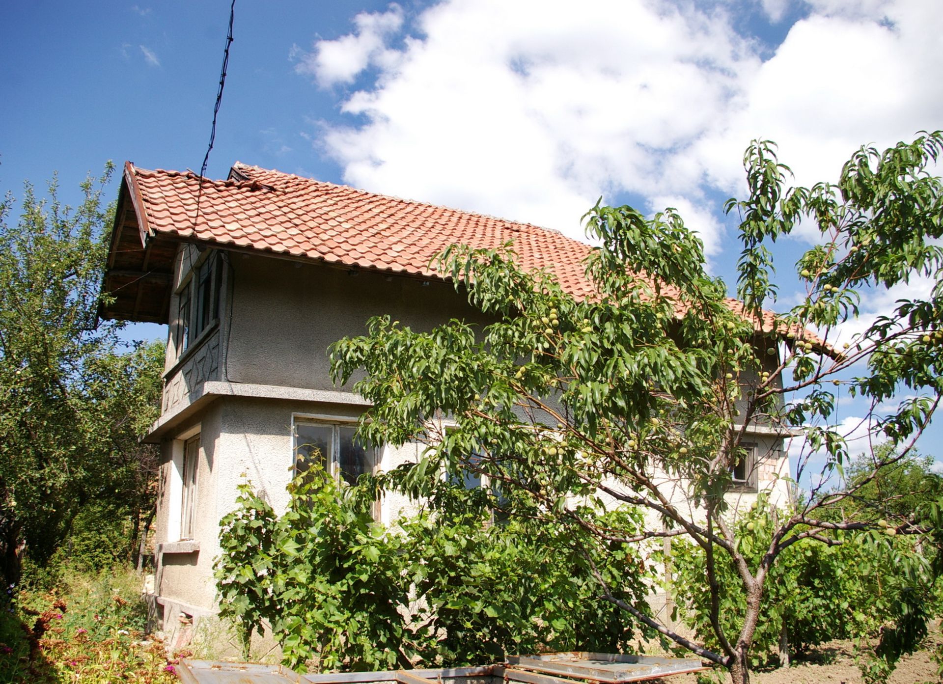 MODERN VILLA RABROVO, VIDIN, BULGARIA 1/2 ACRE GARDEN - Image 5 of 17