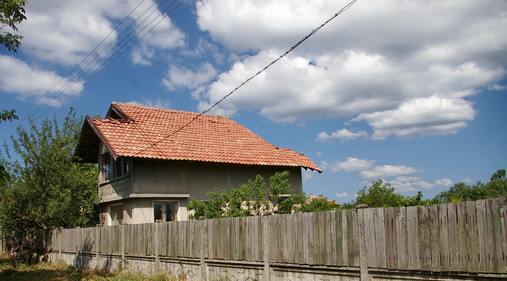 MODERN VILLA RABROVO, VIDIN, BULGARIA 1/2 ACRE GARDEN - Image 3 of 17