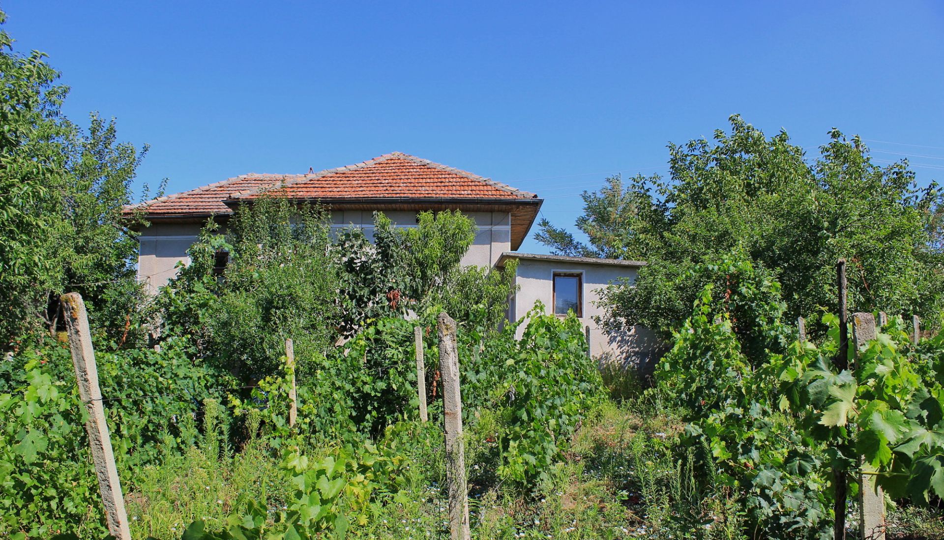 KOZLOVETS,VT, BULGARIA  HOUSE WITH 1/2 ACRE - Image 4 of 17