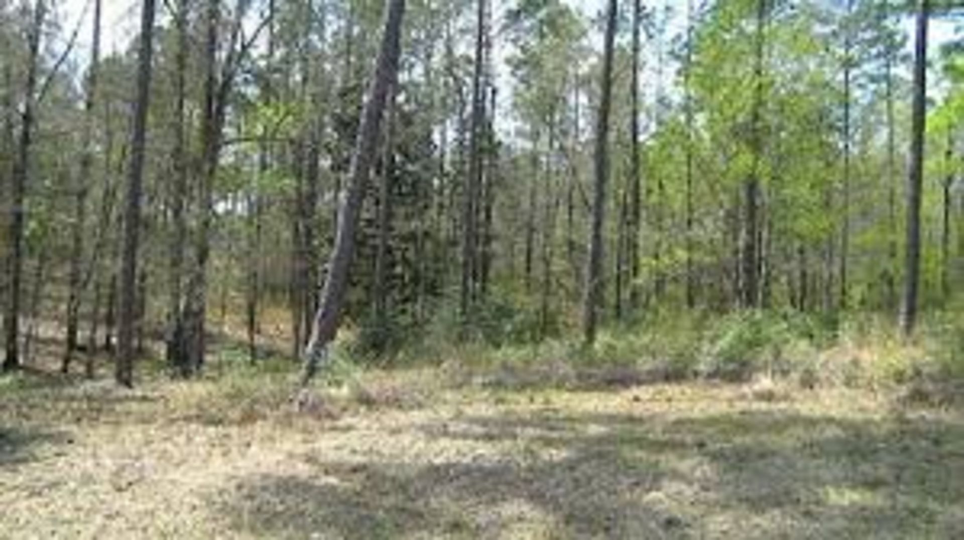 DIAMOND CITY, HOMESITE FOR SALE, ARKANSAS 1/2 ACRE PLOT - Image 5 of 10