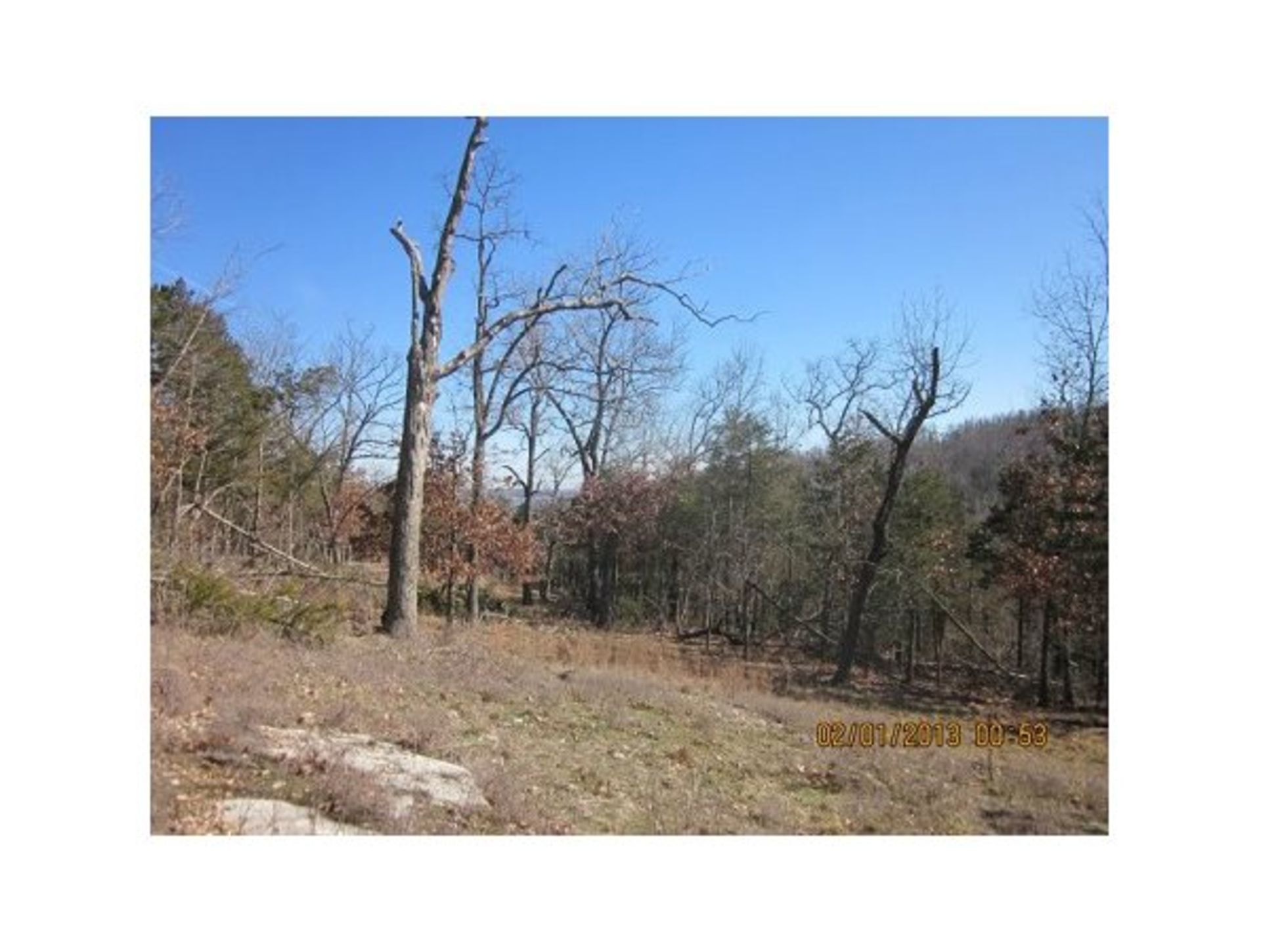 DIAMOND CITY, HOMESITE FOR SALE, ARKANSAS 1/2 ACRE PLOT - Image 3 of 10