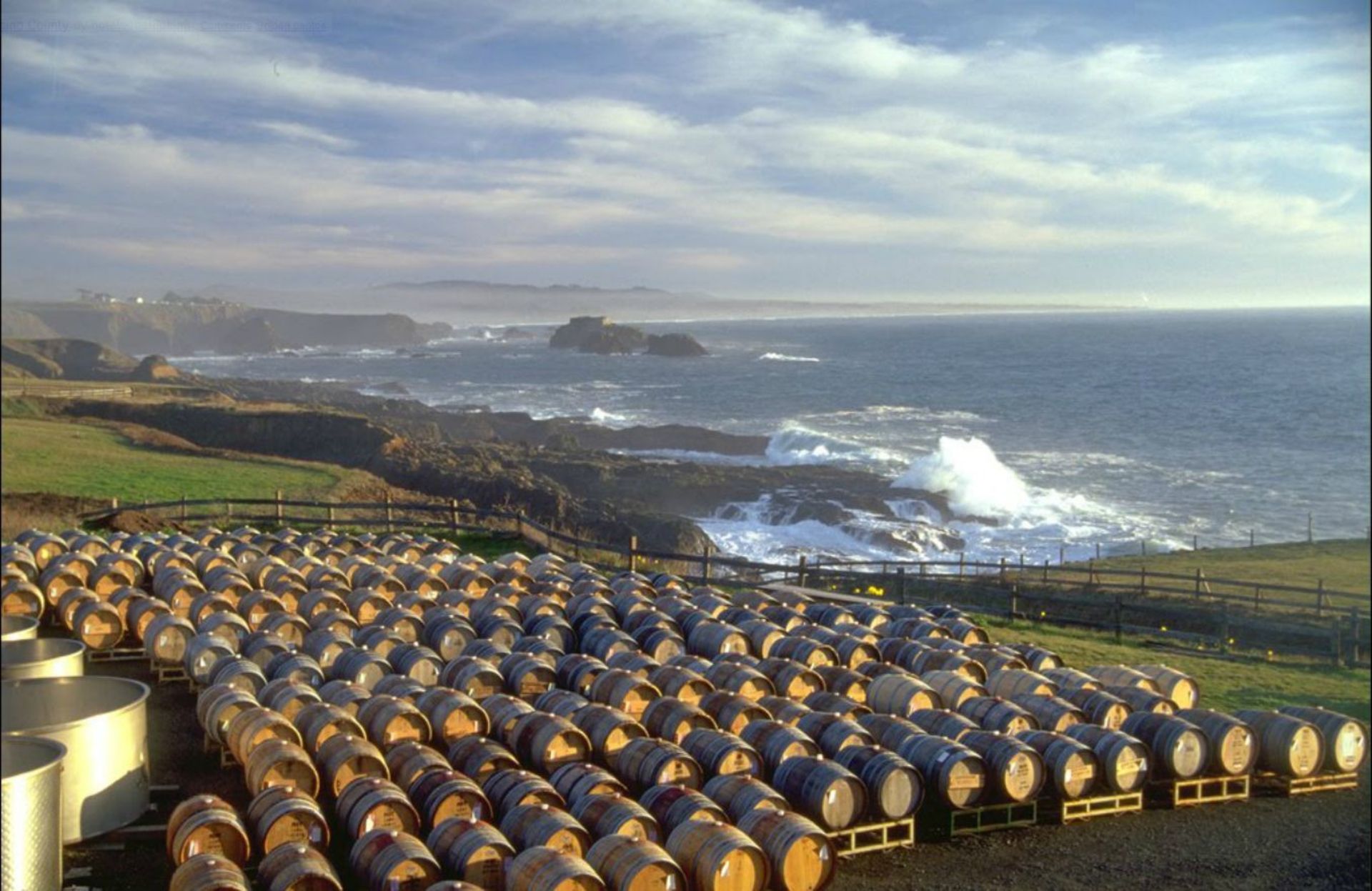 Where the Redwood Forest meets the Ocean in Northern California!