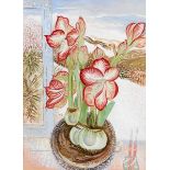 Pauline Bewick RHA (b.1935) Amaryllis, Snow Outside (2009/10) watercolour signed lower right & dated