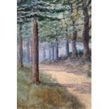 Percy French (1854-1920) A Wooded Pathway watercolour signed lower left 24 x 16½cm (9 x 6in) James