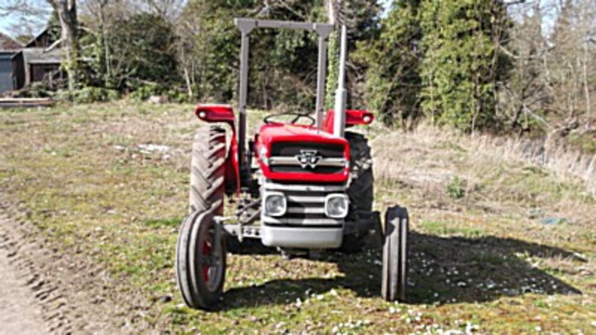 MASSEY FERGUSON Diesel