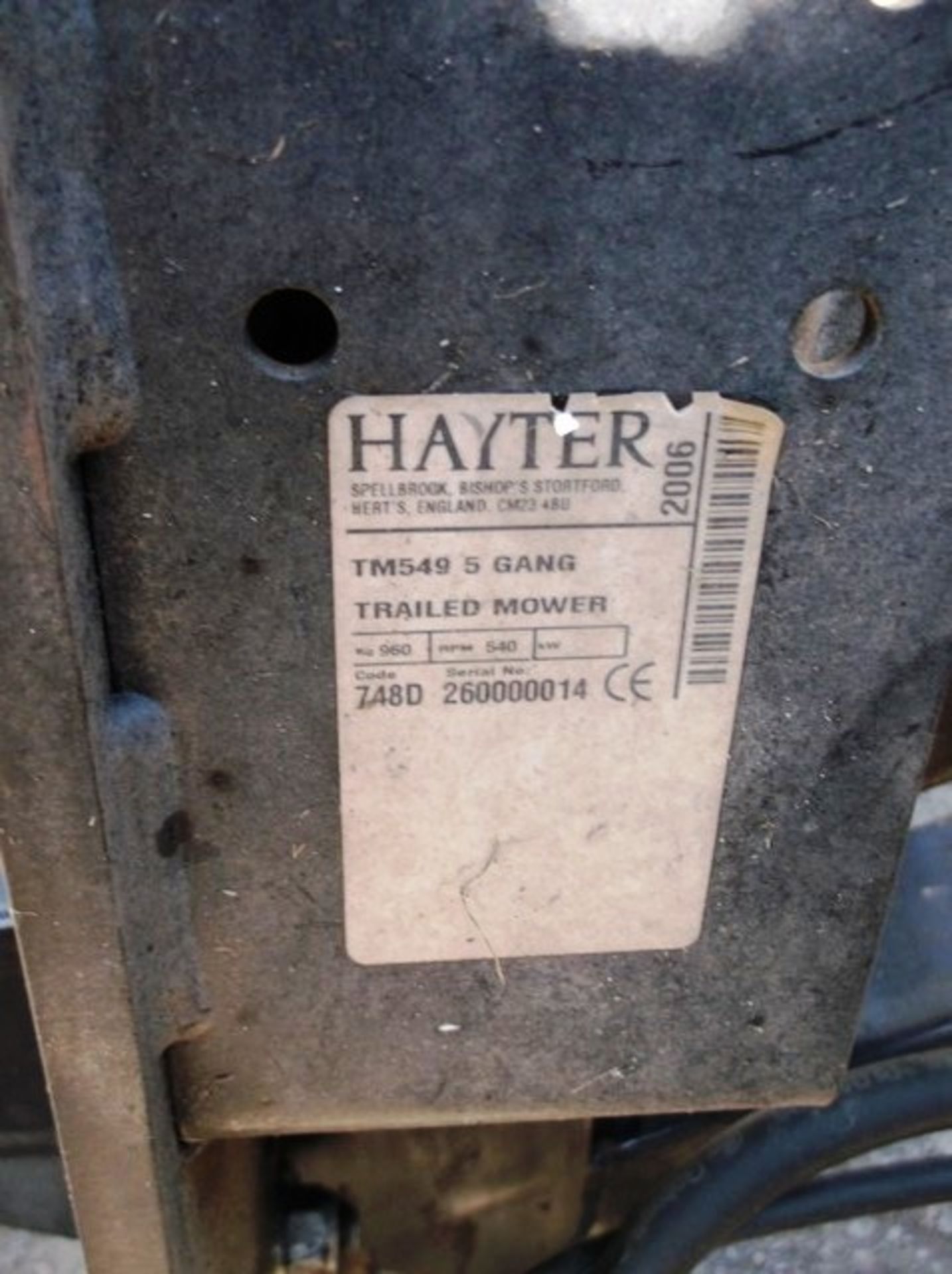 HAYTER TM549, 5 GANG TRAILED MOWER, SN 260000014 - Image 6 of 6