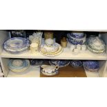 NV- 2 shelves of misc. and decorative blue and white and other china ware