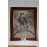 NV: 1 framed oil on board of a Falcon unsigned possibly by Rowland Wright Alston