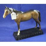 Beswick china standing bay Hunter on a black moulded rectangular base.  CONDITION REPORT: No obvious