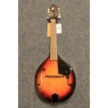 Chinese Savannah 8 string banjo model SA/120/VS in case.