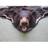 North American black bearskin rug, (Ursus Americanus) with fully mounted head,