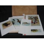 Archibald Thorburn, A group of printers first proof unframed coloured prints,