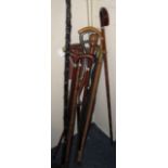 Collection of various shooting sticks, walking sticks and thumb sticks.