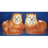 Pair of early 20th Century Staffordshire pottery recumbent Lions with glass eyes on plinth bases.