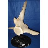 Whale backbone vertebrae pedestal mounted on a stepped marble base. CONDITION REPORT: At its