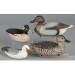 Four contemporary carved and painted duck decoys, to include a seagull, signed Charles Birdsall, a