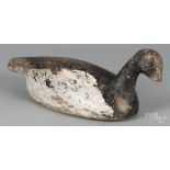 Carved and painted coot decoy, ca. 1900, 17 1/2" l. Original paint with heavy loss.  CLICK HERE TO