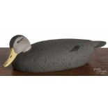 Contemporary carved and painted cork body black duck decoy, 20" l. Good condition with no apparent