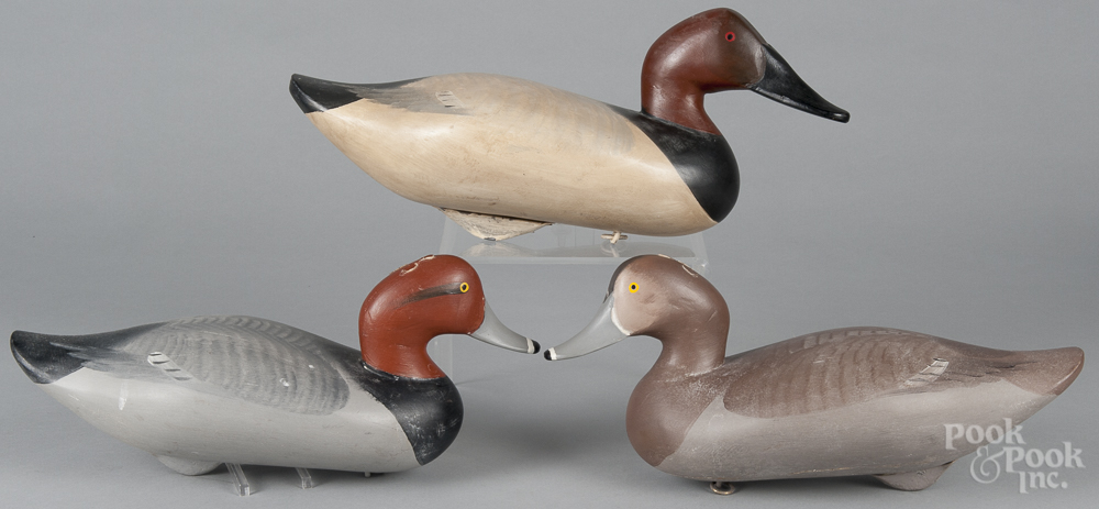 Three carved and painted Chesapeake Bay canvasback duck decoys, mid/late 20th c. Original paint,