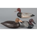 Three carved and painted duck decoys, one stamped Robert Elmore, 14 3/4" l., a canvasback, 12" l.,