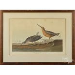 After John James Audubon, hand colored aquatint, titled Red-breasted Snipe, printed 1836, by R.